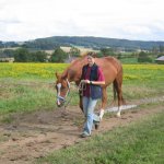Tiere1