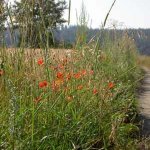 Triebenreuth und Umgebung